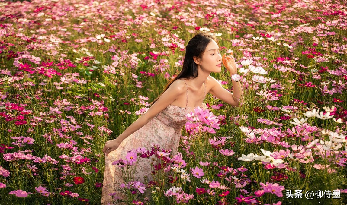 16张照片点评，给摄影新手的正确示例，菊花人像这样拍才美丽