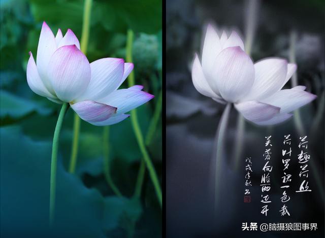 这4款专业的手机摄影修图APP，你都用过吗？