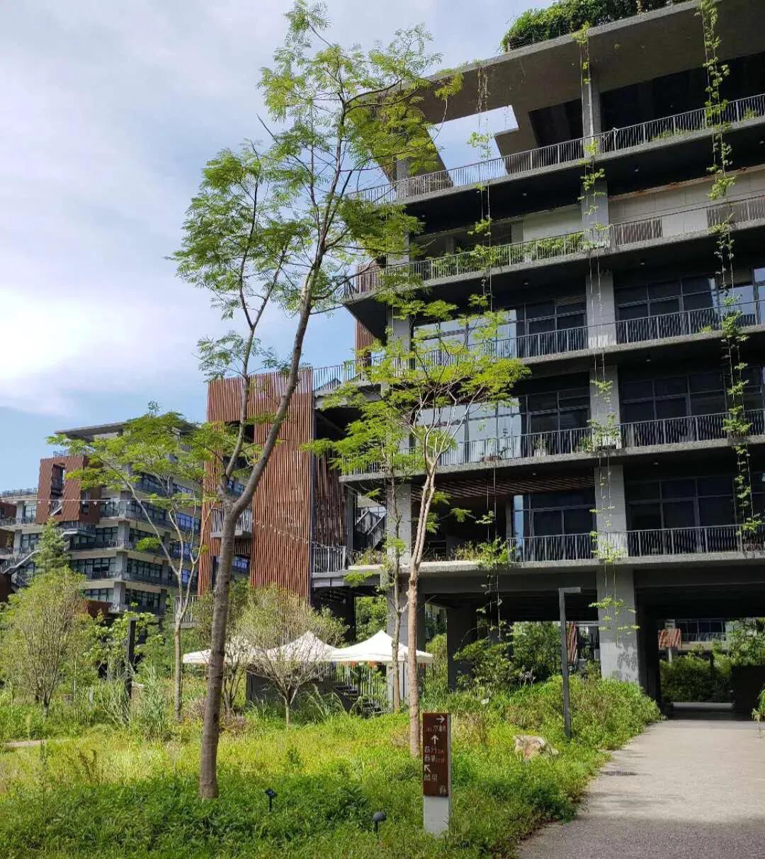 深圳十大免费特色创意园，有趣又好看