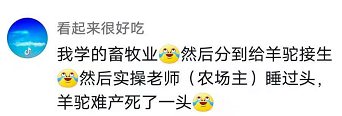 学农人的挂科理由火了，完成毕业论文真不容易，又心疼又想笑