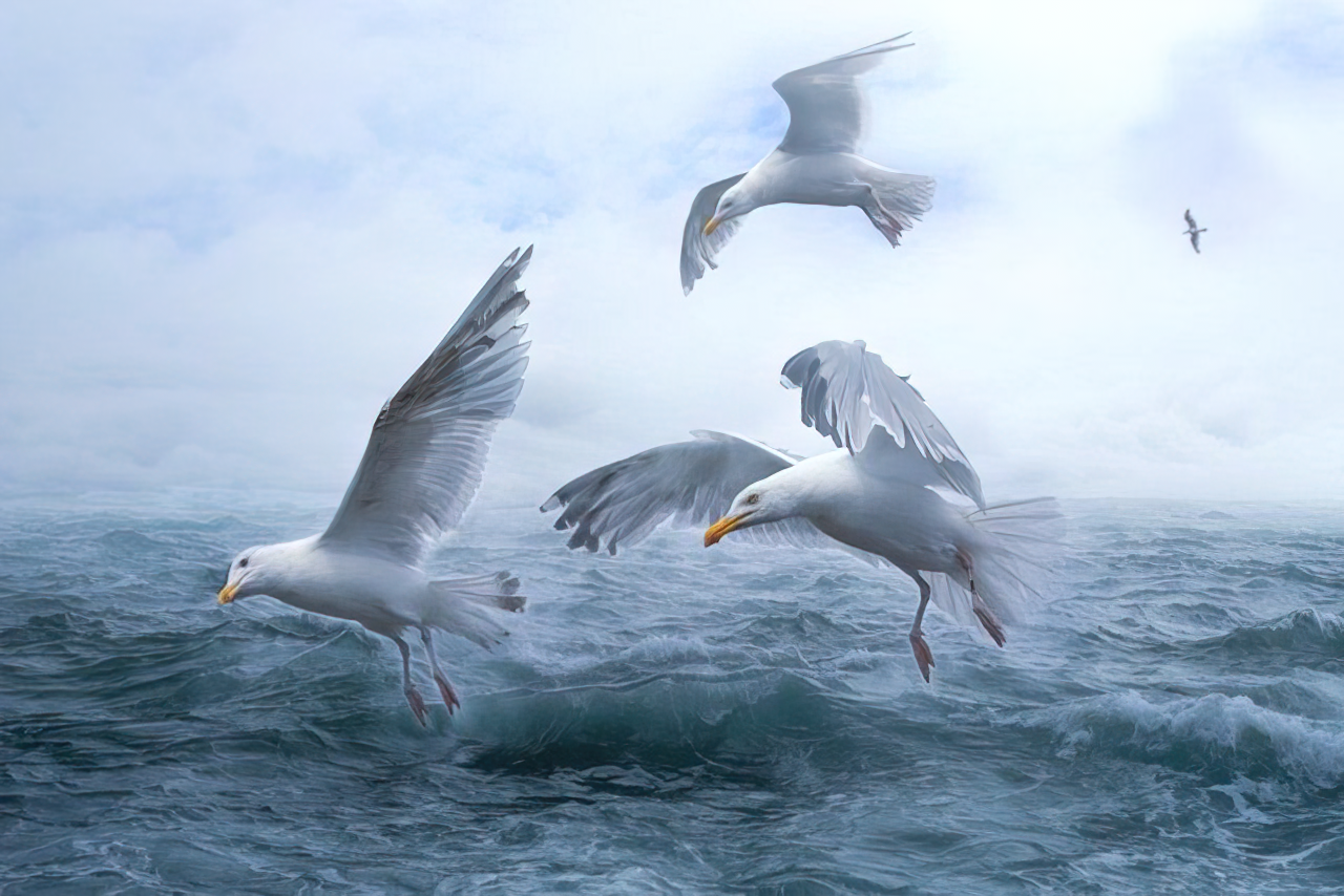 王梦奎谈写文章的四种境界，一语道破文稿写作真谛，胜读十年书