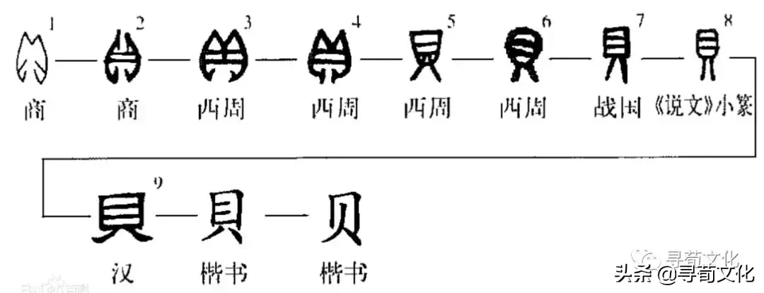 带贝的字有哪些（带贝的字有哪些并组词目）