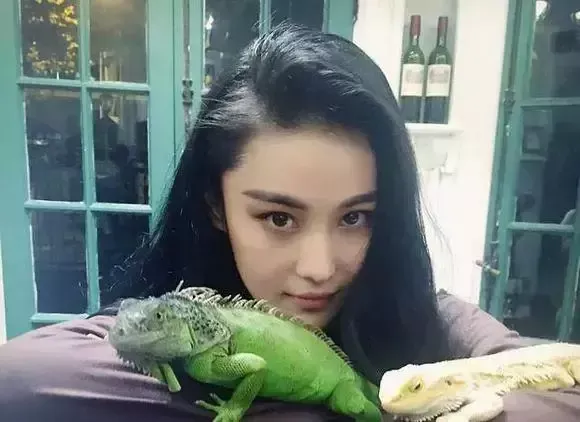 动物世界:从狗生赢家王可可开始,扒一扒各路明星斥巨资养的宠物
