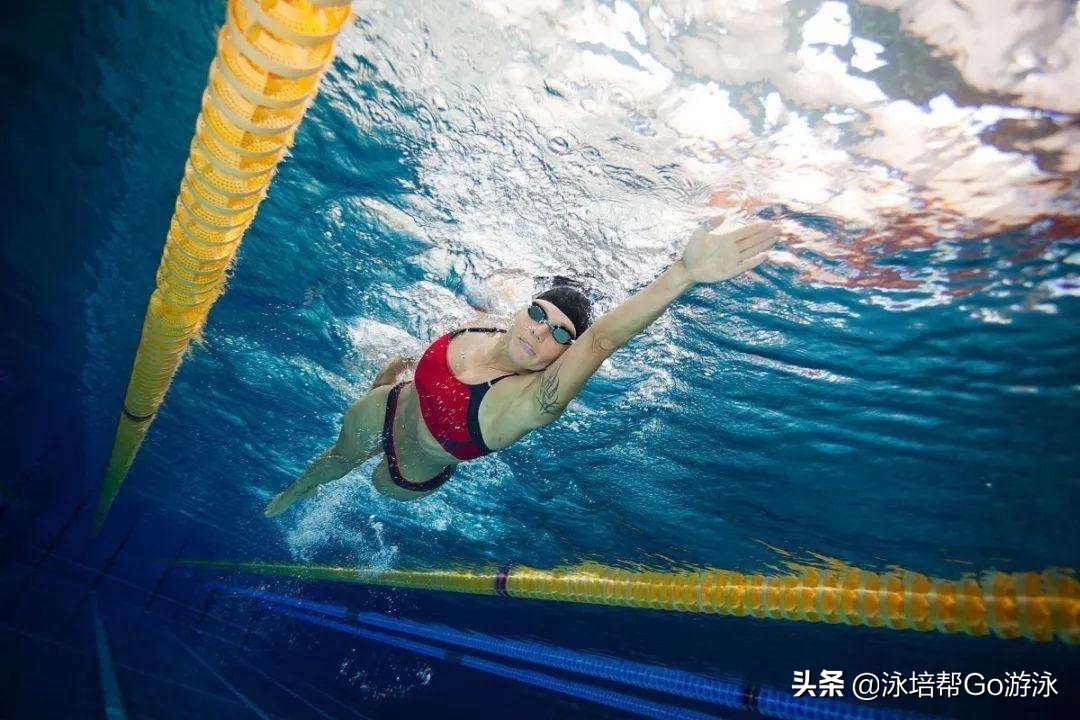 自由泳如何转身带胳膊(自由泳「转肩」的重要性与练习方法，没有转肩就没有划手)
