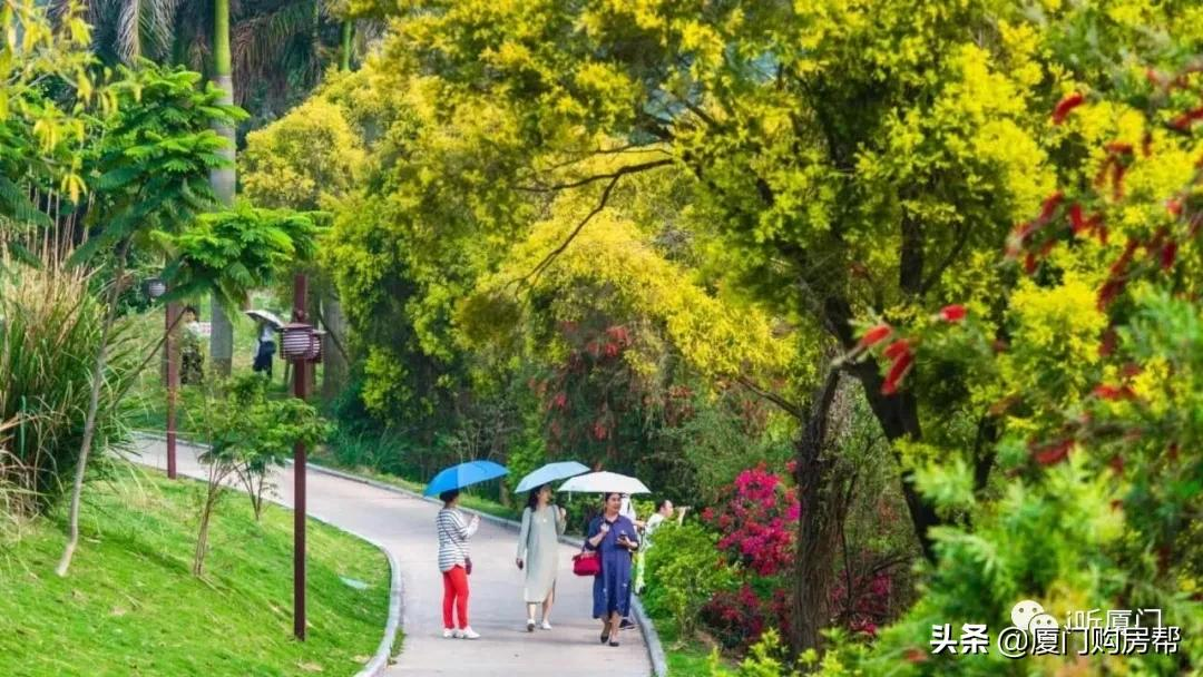 厉害了厦门，又是第一