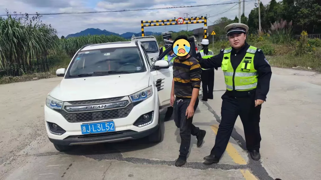 台州交警违章,