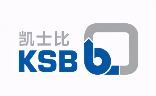 循环泵品牌十大排名（一文了解全球10大水泵品牌）