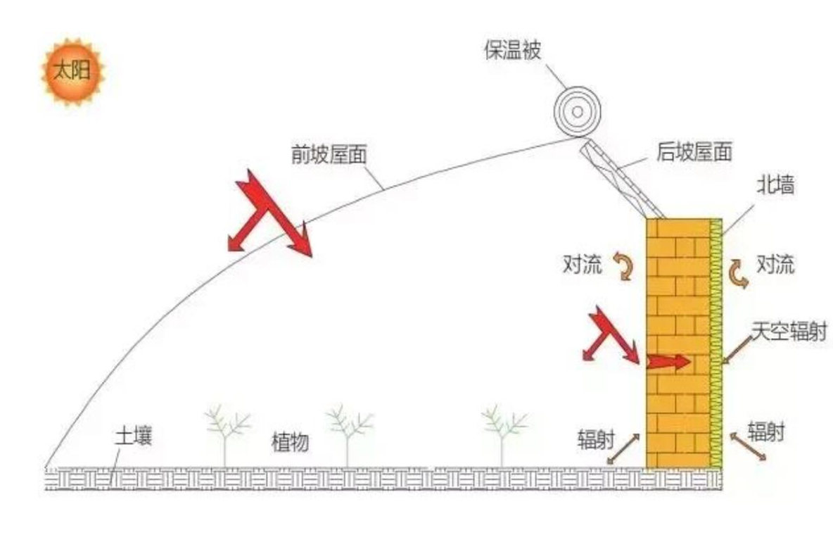 为什么叫暖棚？关键性因素在“墙体”保温设计，常用的有四种形式