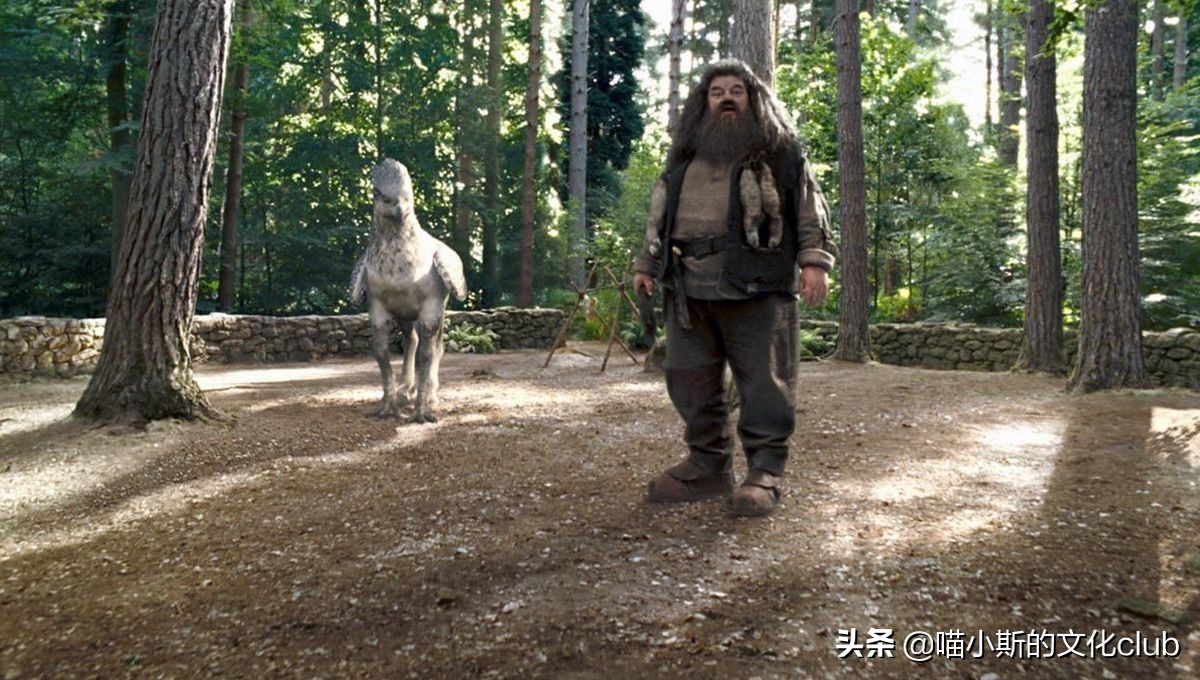 《哈利·波特》：霍格沃茨招聘教授，是不是有时太“随意”了些？