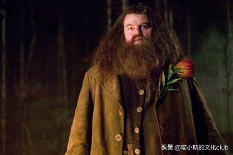 《哈利·波特》：鲁伯·海格与马克西姆夫人，相见恨晚的巨人之恋