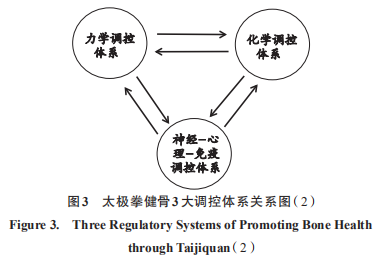 太极拳健骨机理