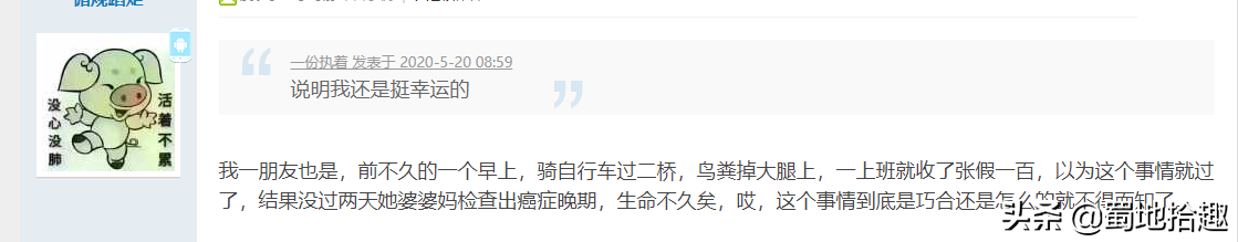 鸟屎掉身上到底是福是祸，条友们怎么看？