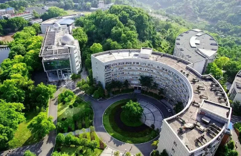 规模“最大”的4所大学，最后一所令人吃惊，大多数人都猜错了