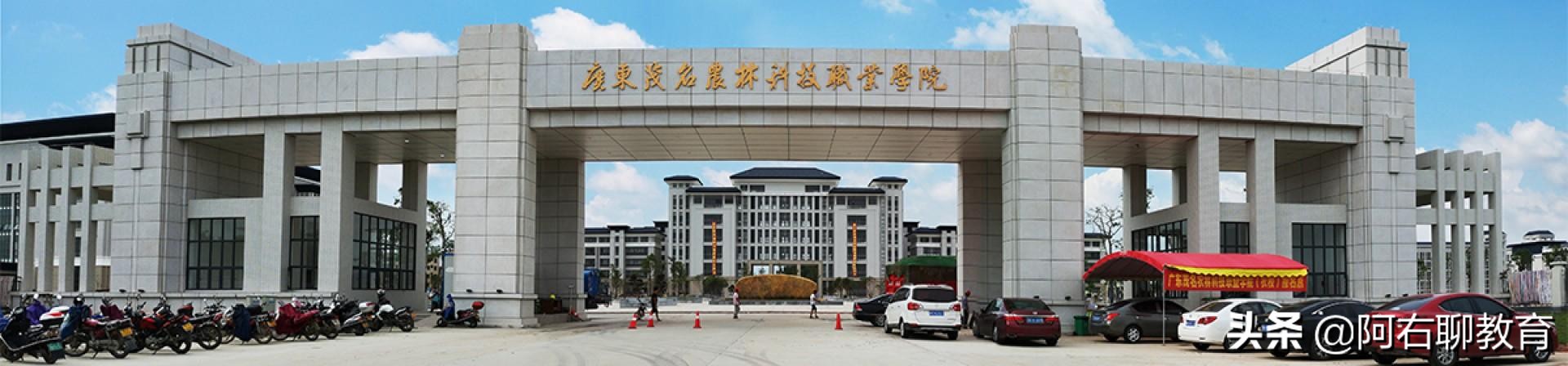 广东茂名高校大揭底？竟然只有1所本科
