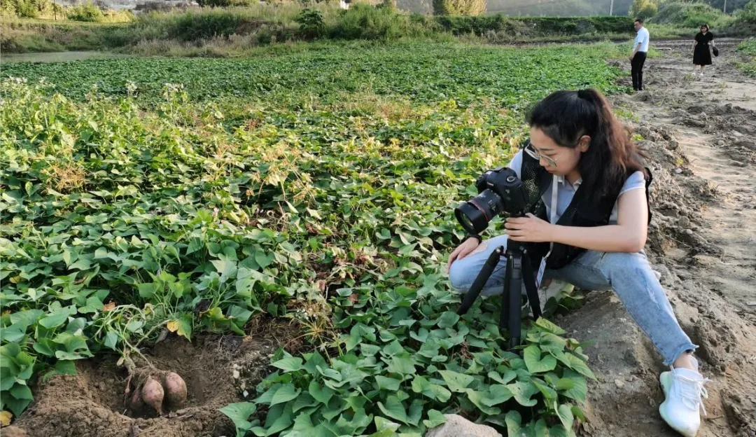 央视再次聚焦房县！只因大木厂镇这个产业做的红火......