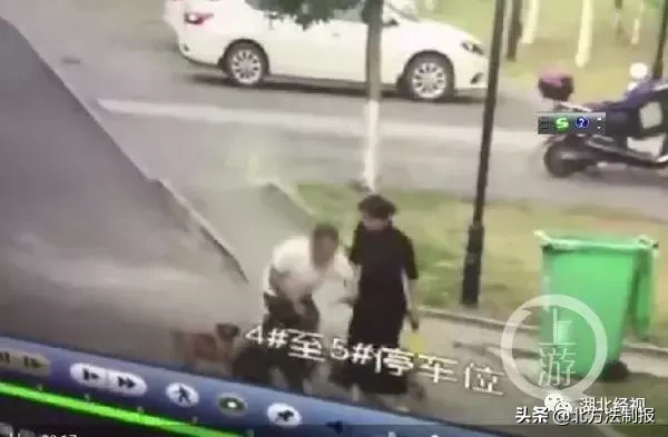 女子遛3只狗不牵绳！湖北男子遭狗撕咬下体受伤严重，缝了30多针