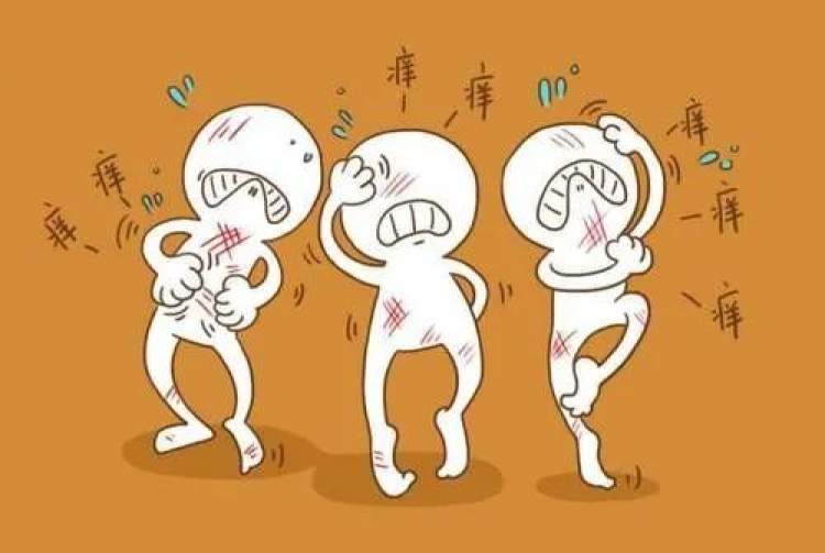 时暖时寒，皮肤是不是变“娇气”了？专家来支招