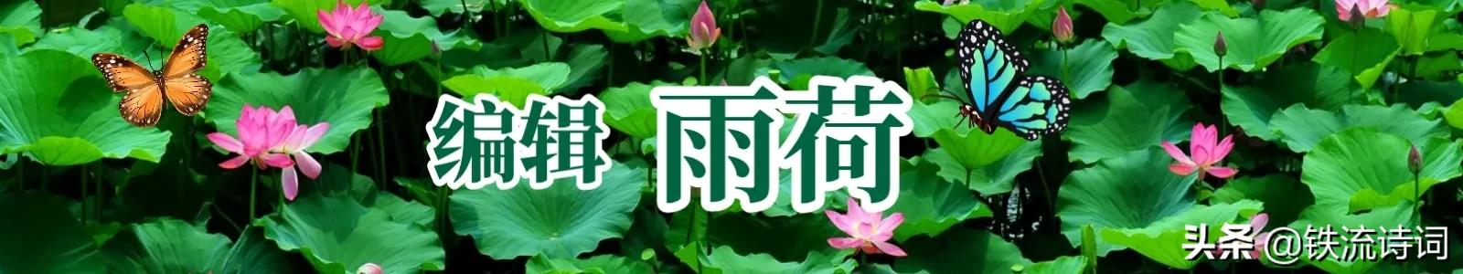 詹有坤｜七律两首：童年记忆