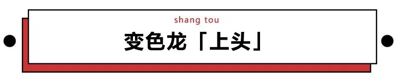 网络用语下头是什么意思(这个男人全网爆红，神秘接头暗号「上头」到底几个意思？)