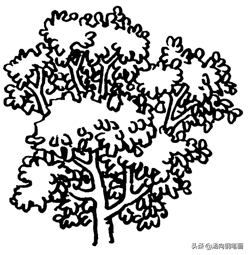 钢笔画零基础学习，茂密的树或树林连成一片，用这种画法表最好