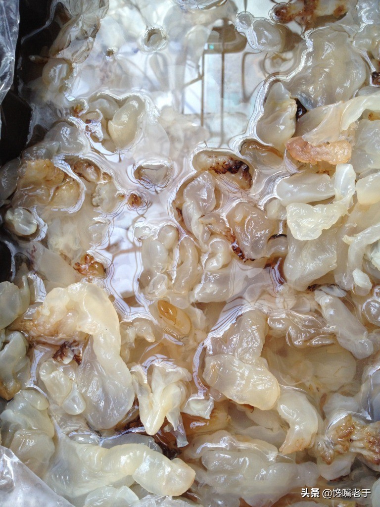 吃海蜇,从来都只吃"蜇皮"和"蜇头",海蜇的身子难道不能吃?