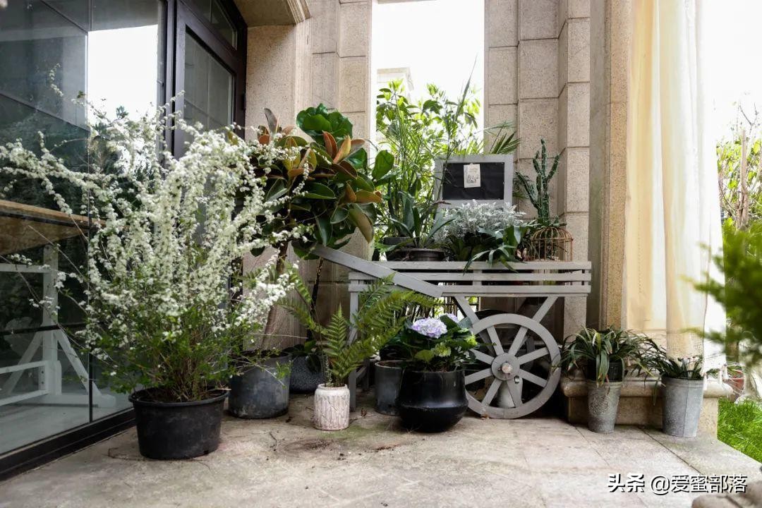 杭州摄影基地 | 插画师画室实景，出片文艺有气质