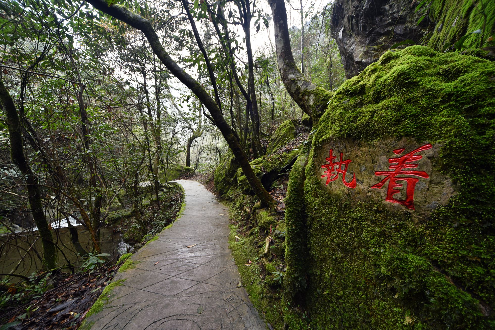 自驾徽州天路，走进真山真水，寻找生活本来的样子