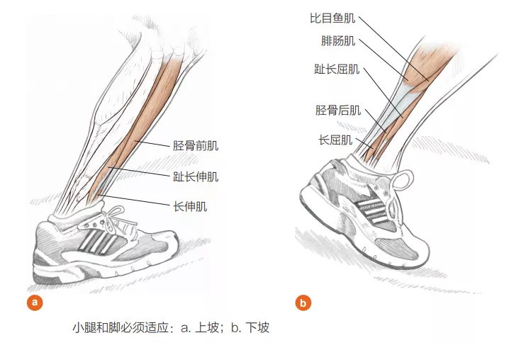 面對影響跑步表現的外部因素，我們可以怎麼做？