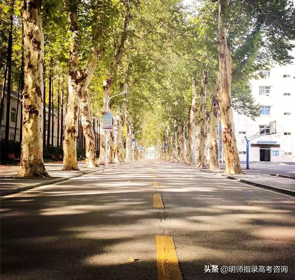 五所海军招生院校揭秘！想当海军军官的高考生看过来