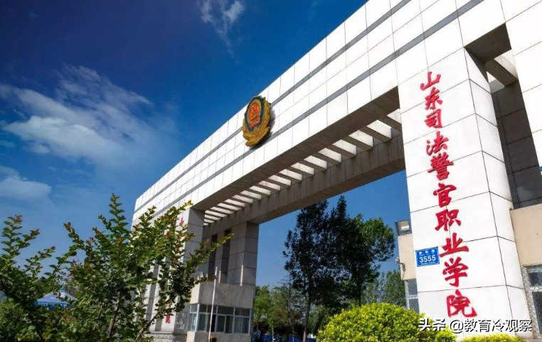 2019年山东专科投档线最高的60所高校，多少分能上“好专科”？