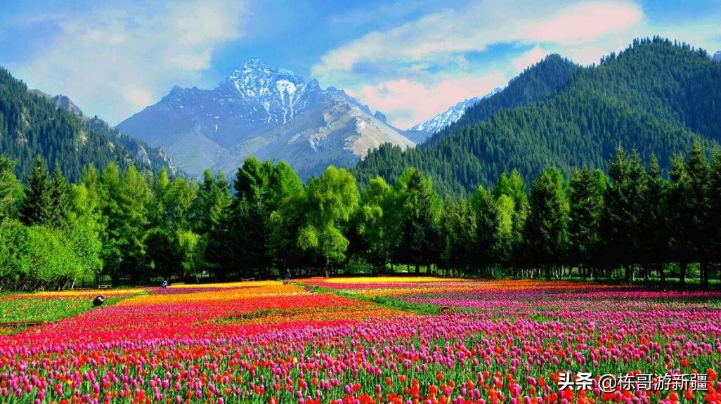 4月的新疆虽不是最美季节，但天山南北依旧值得你流连忘返
