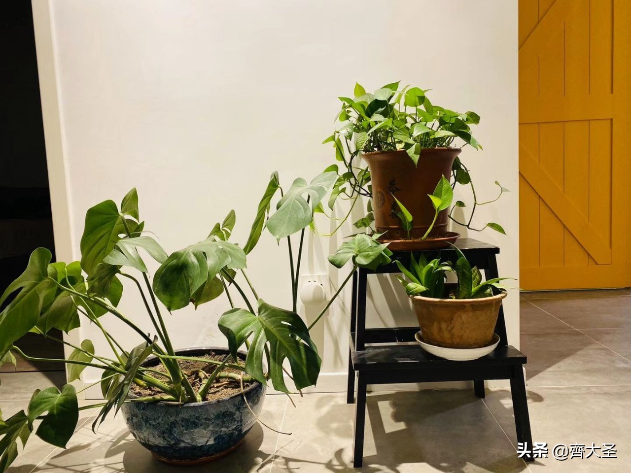 花了几万块亲自体验，才整理出这份宜家红黑榜