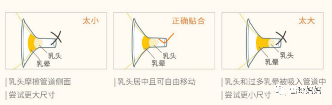 美德樂、小白熊、新安怡，Spectra，各大吸奶器到底選哪個？