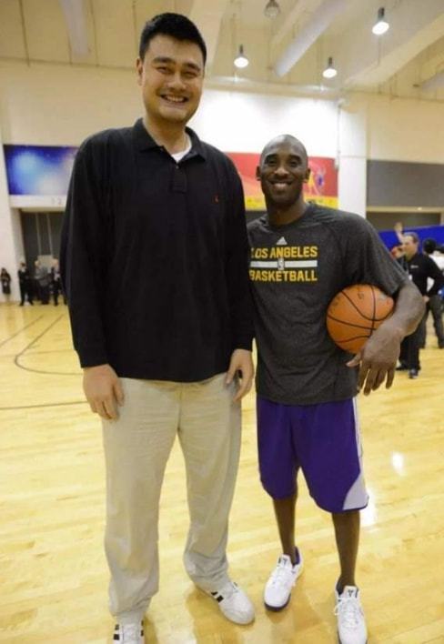 2米26的姚明体型在NBA属于什么级别？奥尼尔在身边显娇小