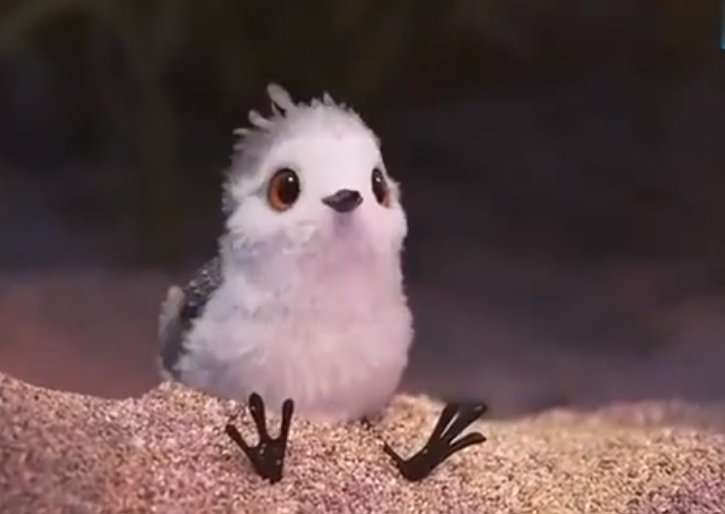 3评分短片《鹬》,一部有教育意义的动画片,给父母的启示