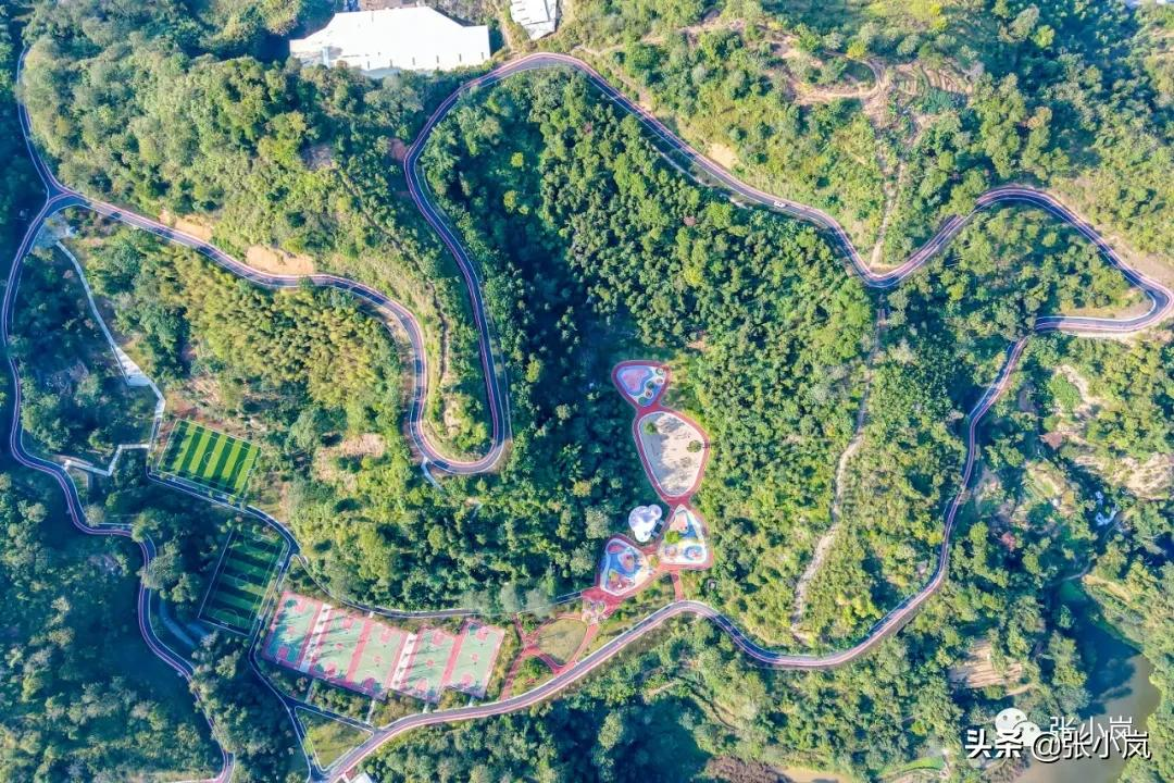 藏在韶关市中心森林里的儿童公园，大部分人都不知道，光速安排