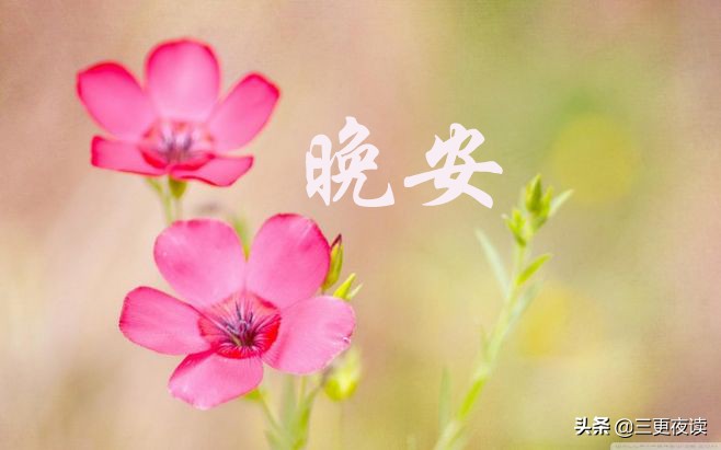 星河入梦，温柔守候每一寸夜色。