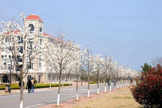 青島的學校青島有哪些職業院校呢