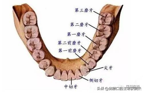 为啥根管治疗这么贵，是不是被坑了？