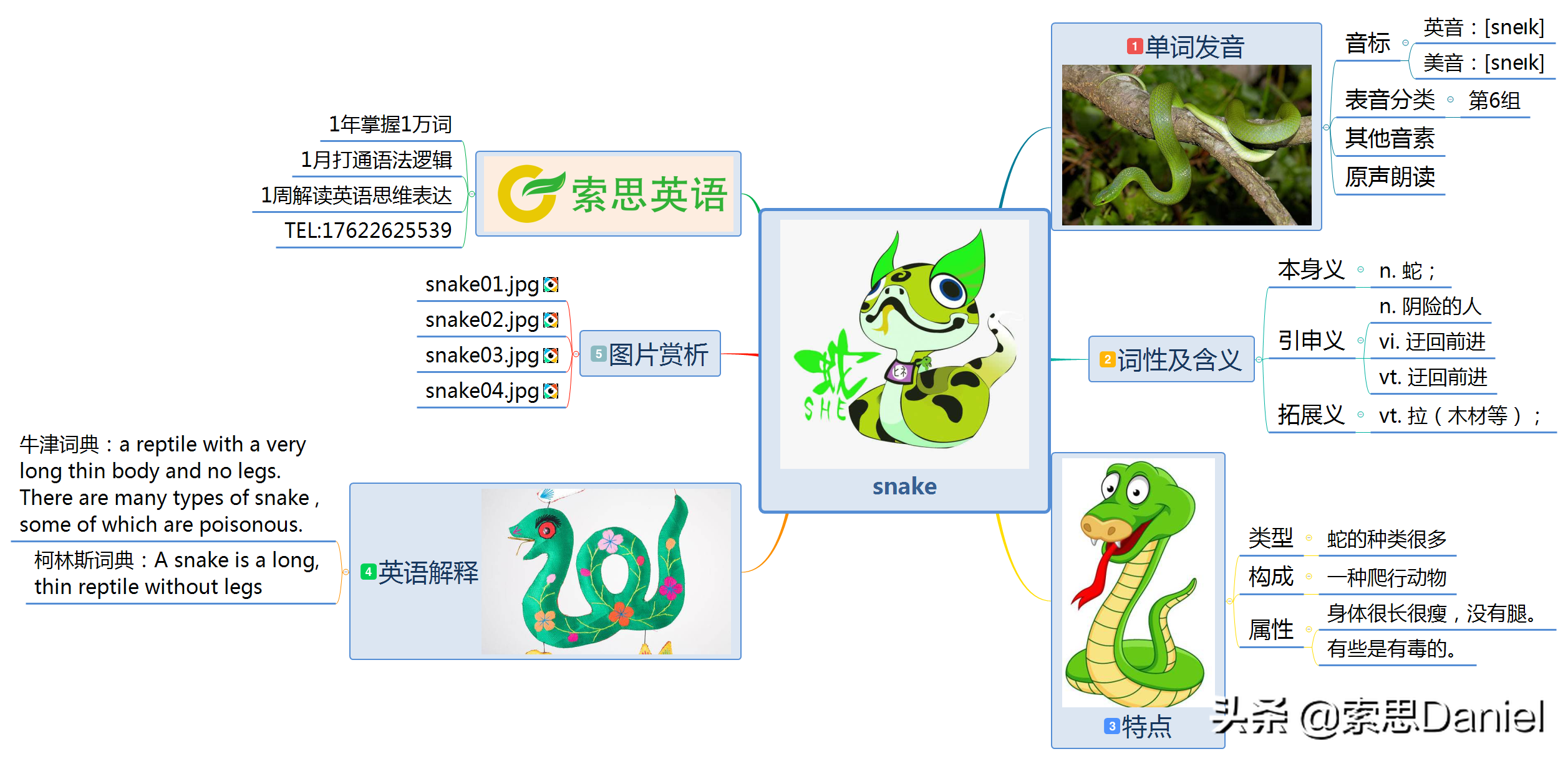 蛇的英语怎么读（长颈鹿的英语怎么读）-第1张图片-易算准