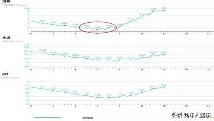 小龙虾养殖户致富有出路,每亩多赚8000元!新模式颠覆传统养殖