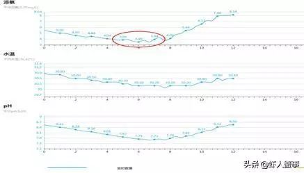 小龙虾养殖户致富有出路，每亩多赚8000元！新模式颠覆传统养殖