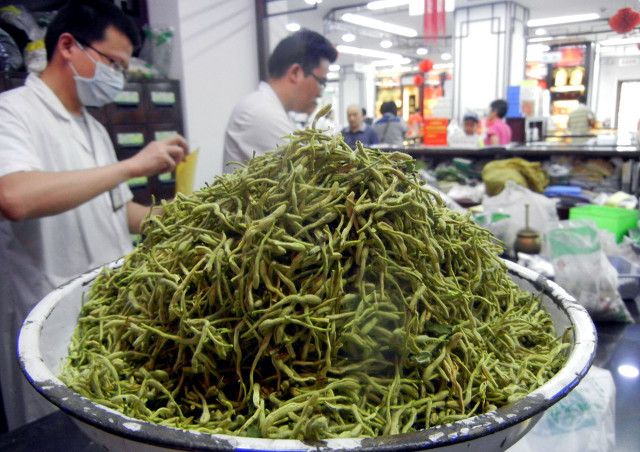 金银花的产地（关于中药材金银花的产地介绍）