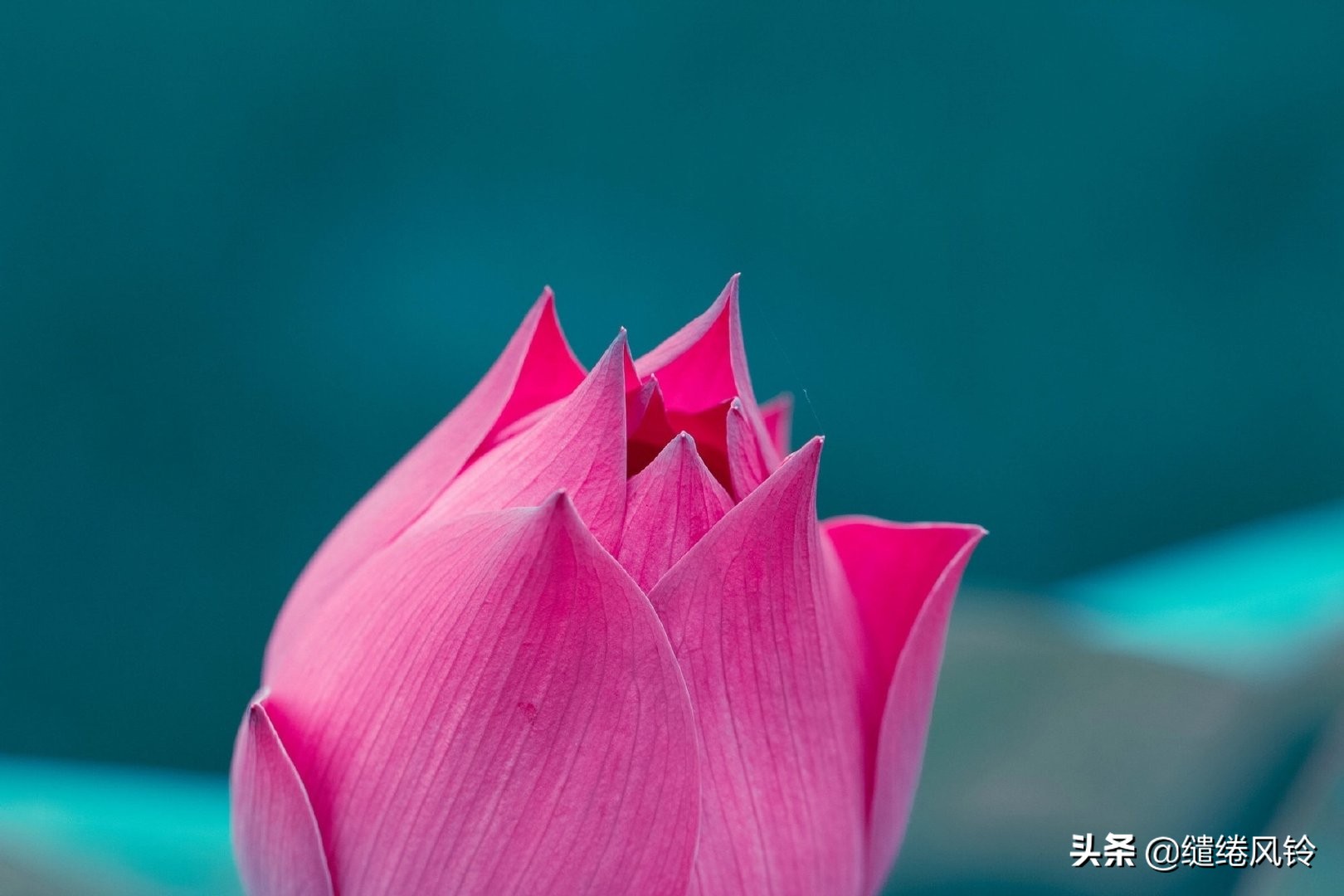 剑未佩妥，出门已是江湖——50句古风文艺诗句，美到窒息