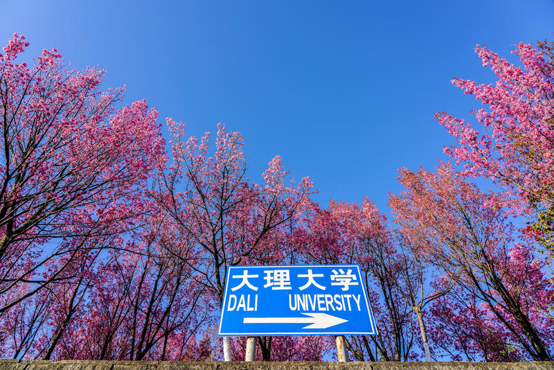 风花雪月最美时，大理一定要去的几个地方