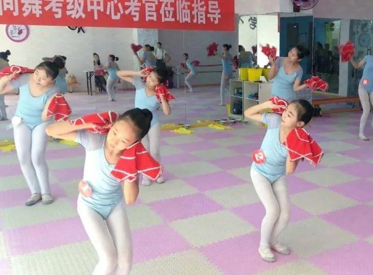 塞上江南·花儿绽放 | 宁夏考区学生考级精彩呈现