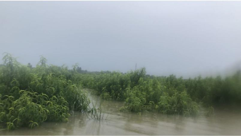 “眼看着日子有希望了，一开闸什么都没了”，蓄洪与发展如何兼顾？