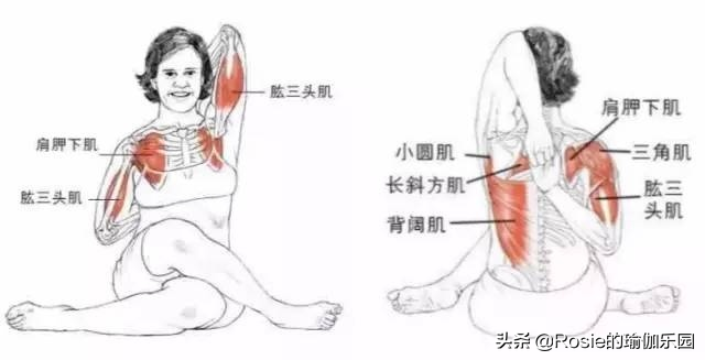 久坐臀部扁塌大腿粗，整日抱娃肩背痛，3招教你瘦腿去痛变美