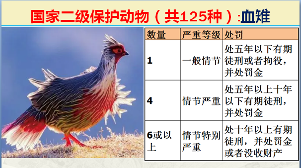 国家保护动物分几个等级（125类二级野生保护名录）