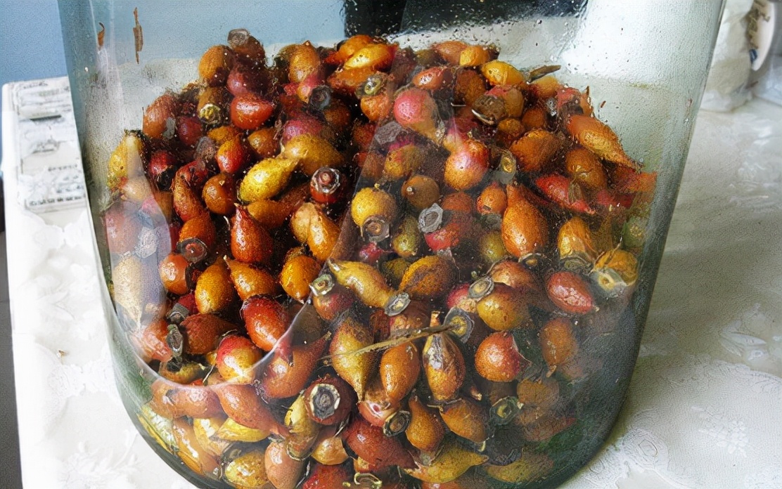 糖罐子泡酒的方法也简单,在秋季的时候,戴上手套把成熟了的采摘回来.